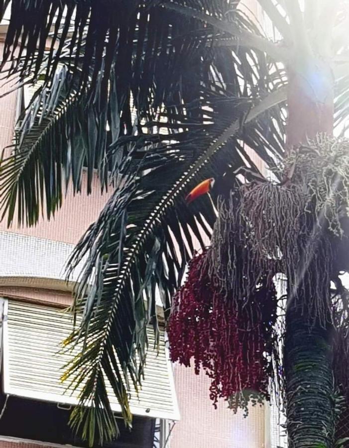 Ferienwohnung Cavalinho Branco Águas de Lindóia Exterior foto